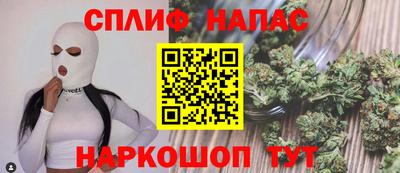 сатива Бердск