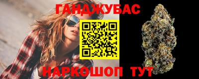 сатива Бердск