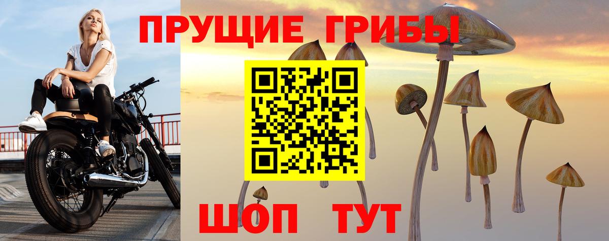 Геленджик  Галлюциногенные грибы Psilocybe  закладки  Вход с VPN 